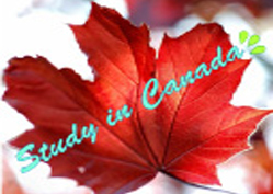 カナディアン留学